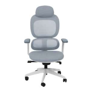 Ergonomic Reclining Office Chair with Headrest - Maoters