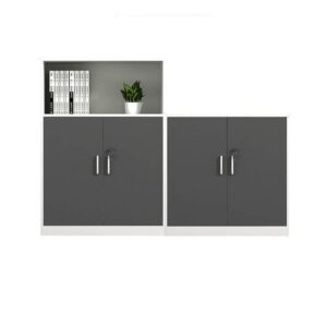 Office Storage Cabinet for Files - Maoters - Maoters