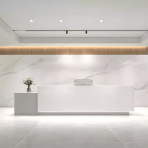 High-End Office Front Desk